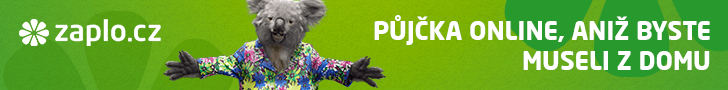 Bez doložení příjmu
